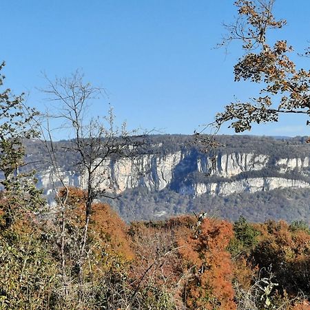Gite Des 2 Lions Murs-et-Gelignieux Εξωτερικό φωτογραφία