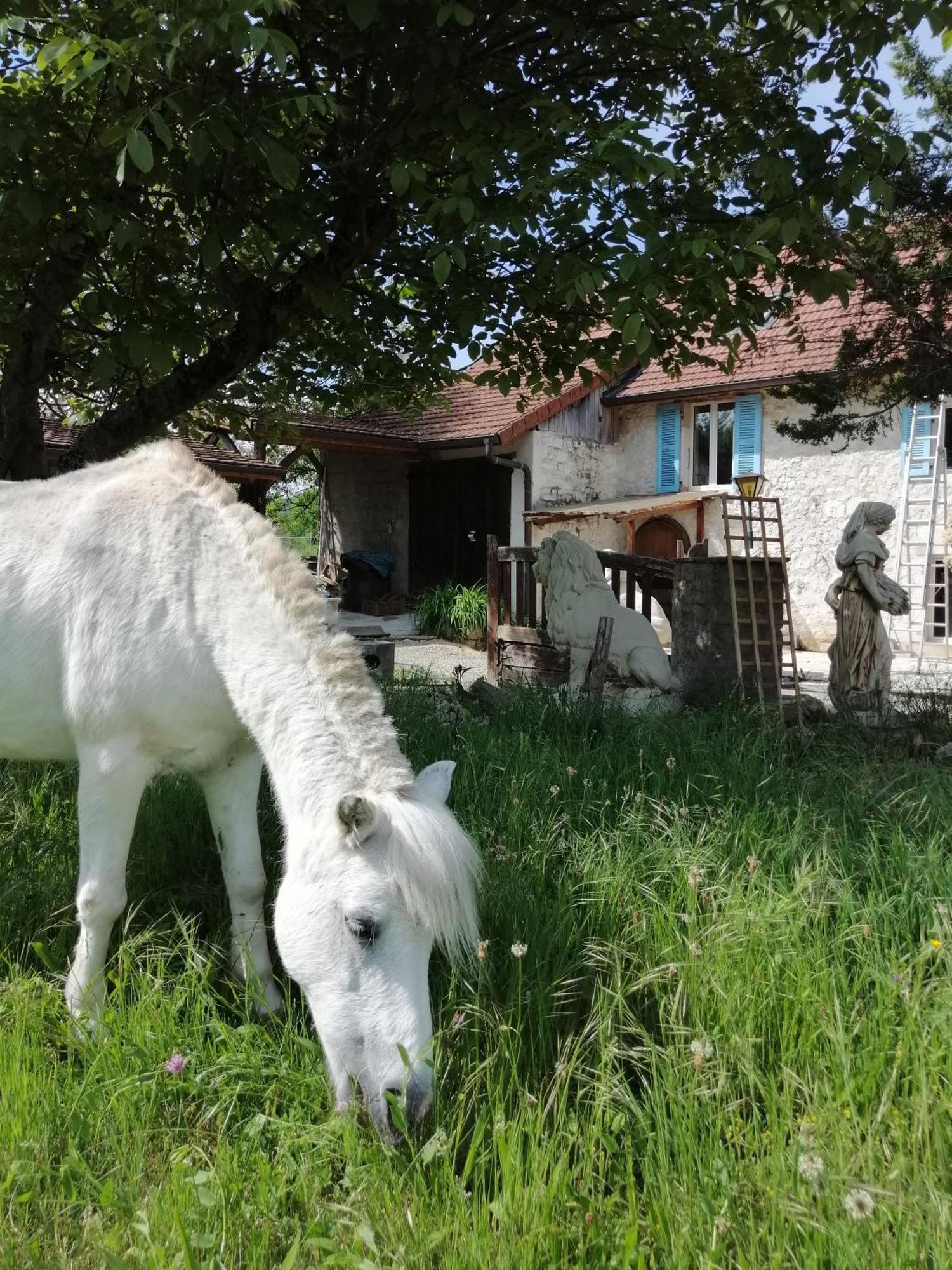 Gite Des 2 Lions Murs-et-Gelignieux Εξωτερικό φωτογραφία