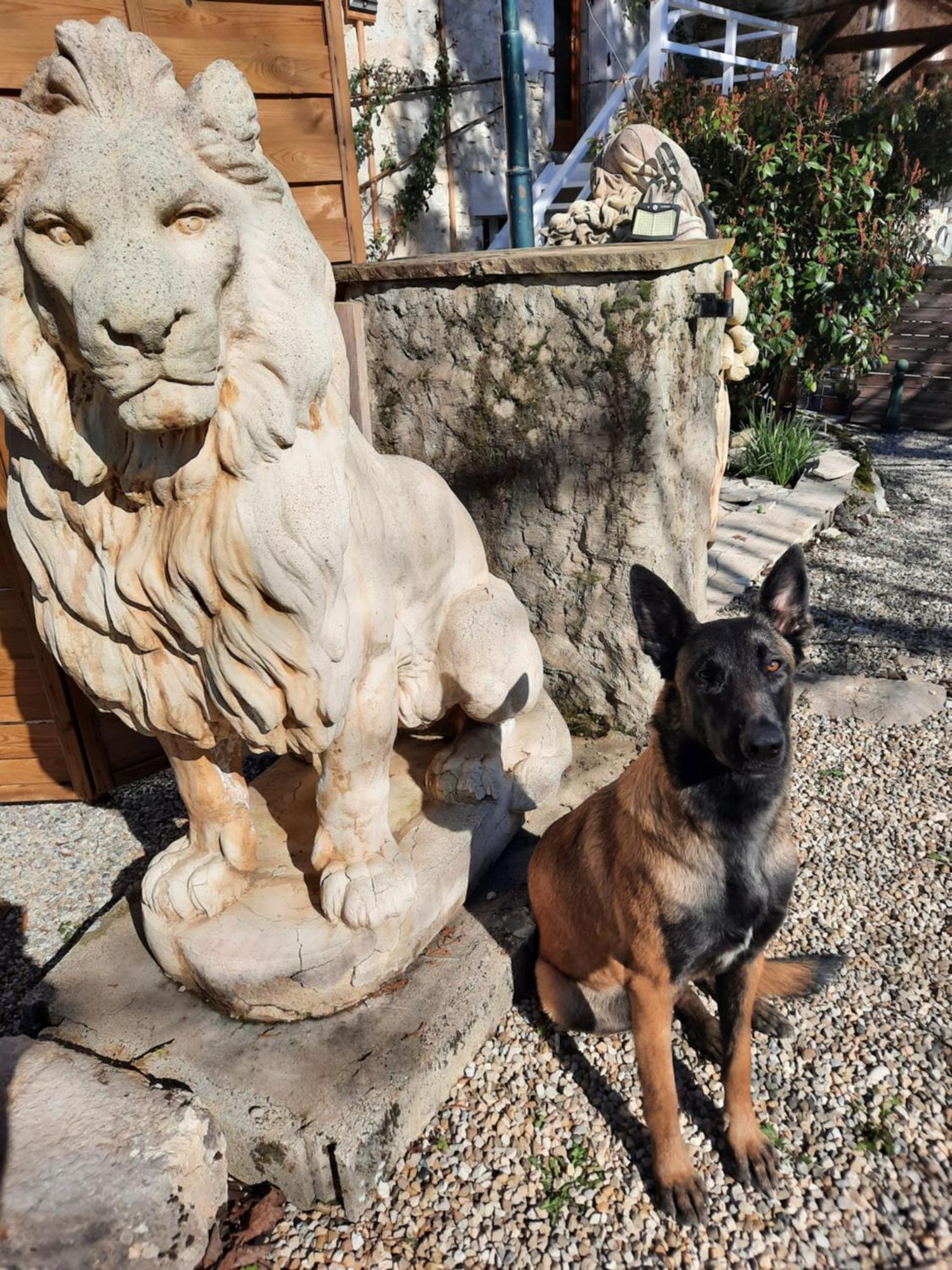 Gite Des 2 Lions Murs-et-Gelignieux Εξωτερικό φωτογραφία